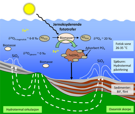 Hydrotermal sirkulasjon