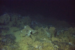 250x166 mareano