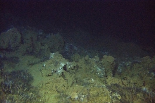530x352 1mareano