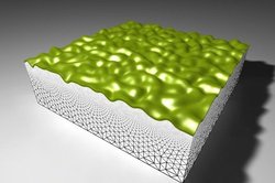 250x166 pgp1