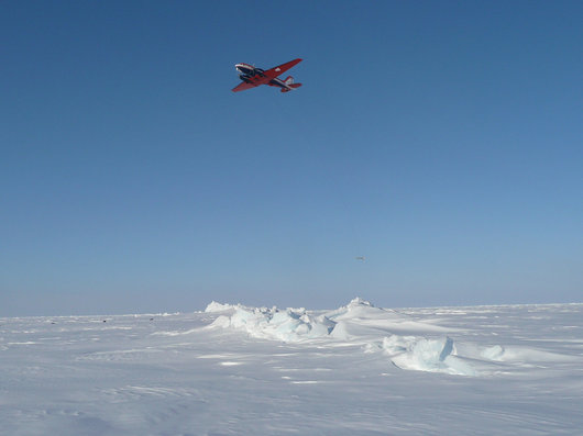530x397 maisie-chaas arctic polar5withbird
