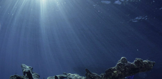 530x261 finding co2