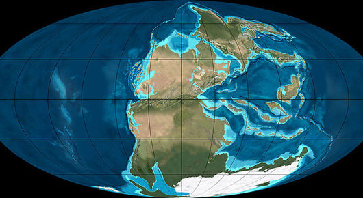 530x290 pangea
