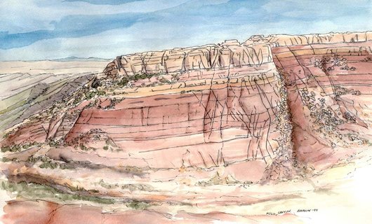 530x320 millcanyon