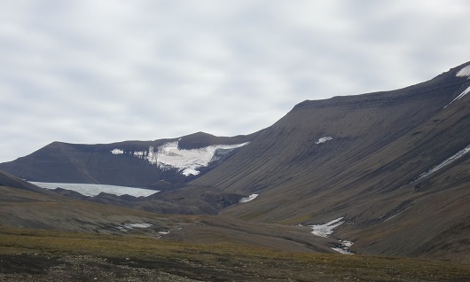 530x318 fjell