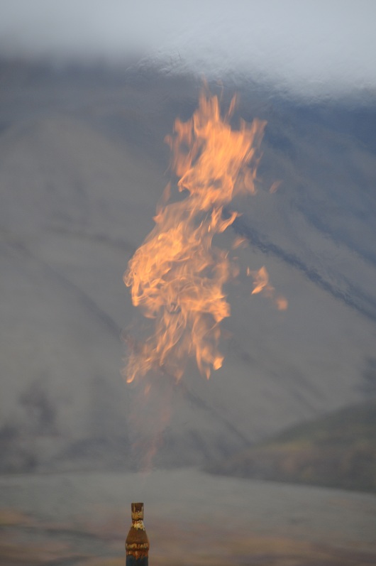 530x797 Flare