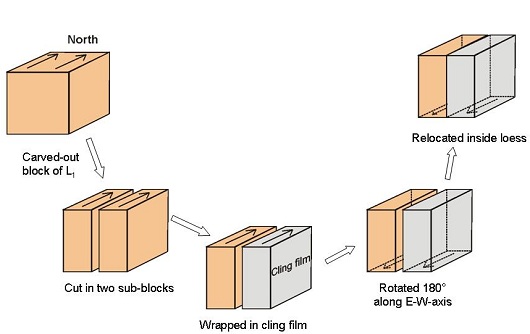 530x334 Fig3
