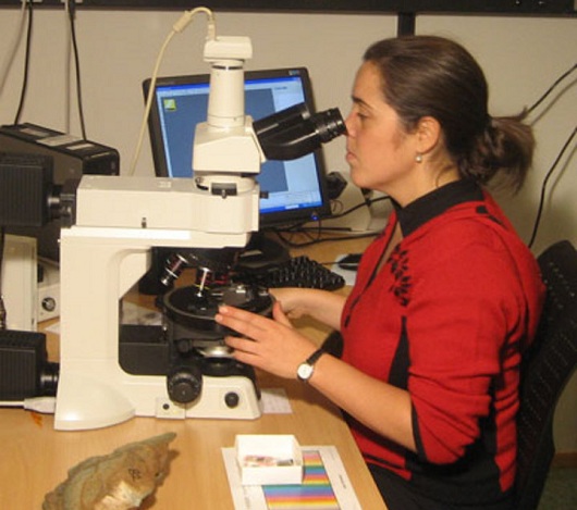 530x469 microscopy