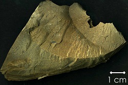 250x166 kull1