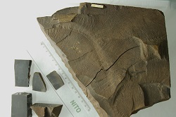 250x166 kull2