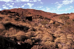 250x166 spinifex ridge