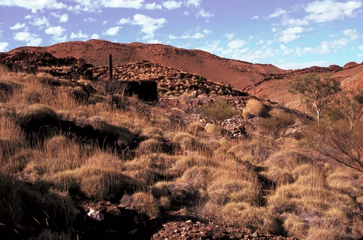 530x351 spinifex ridge