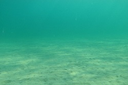 800px-Sea floor sand