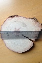 250x166 stokk