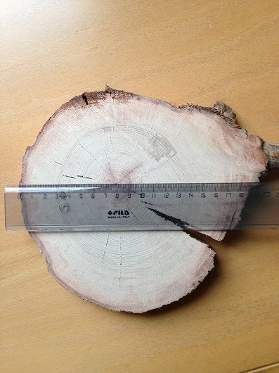 530x397 stokk