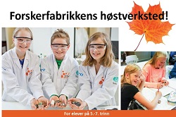 250x166 høstverksted
