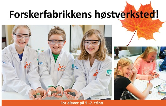 530x340 høstverksted