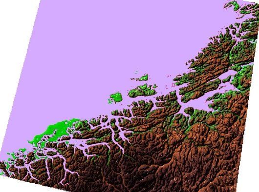 530x394 fig4