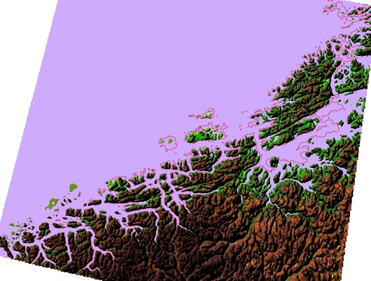 530x401 fig3