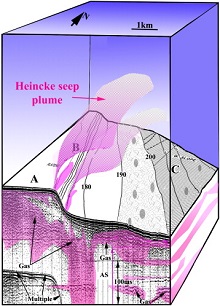 220 heincke