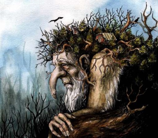 530x464 dovregubben