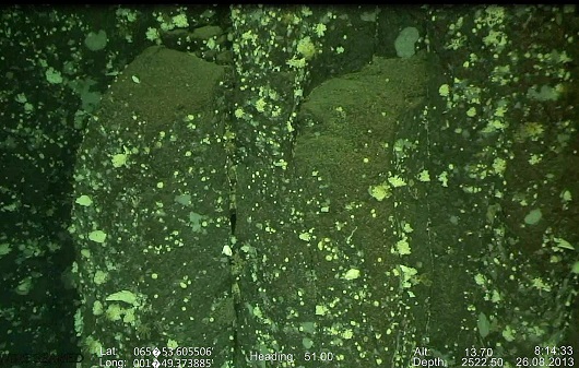 530x337 Søylebasalt ROV 2013