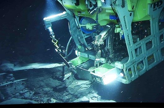 530x352 Prøvetaking ROV 2013