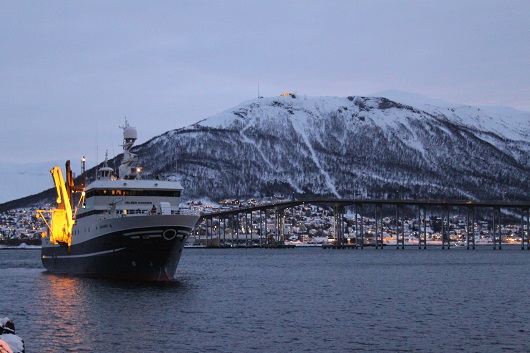 530x353 IMG 2745