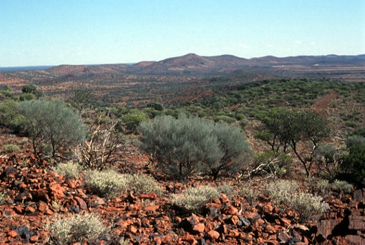 530x356 Jack hills foto SA Wilde