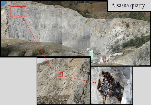 530x371 Alsasua1