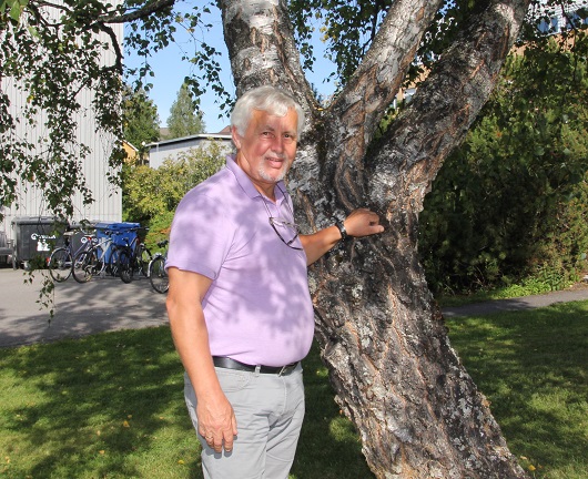530x432 johansen