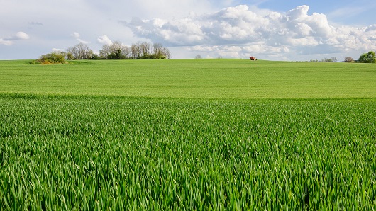530x298 jordbruk