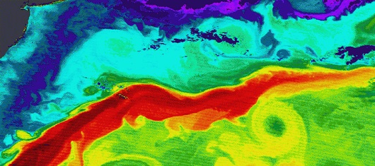 530x235 gulf stream NASA1-720x320