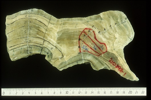 530x352 SoylStal210892 1
