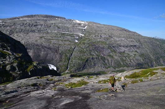 530x351 Røttene