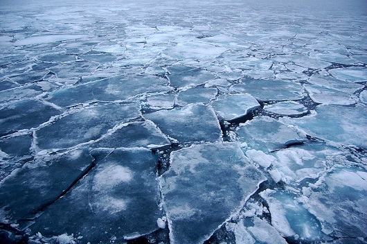 530x352 arcticseaice