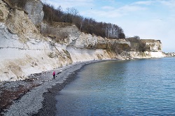 250x166 Stevns Klint beskjært