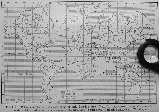 530x375 fig2