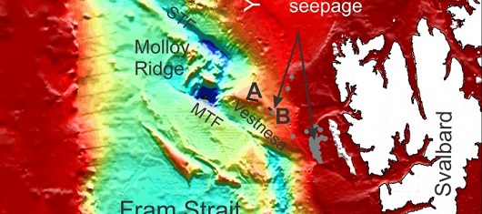530x235 vestnesa