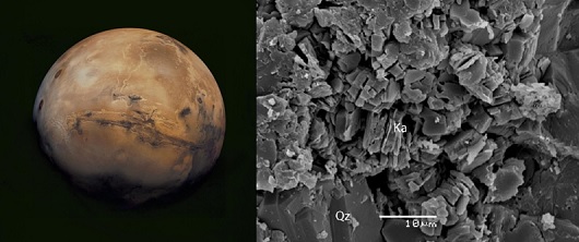 530x222 fig1