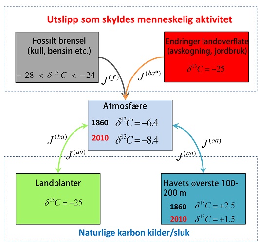 530x505 fig1