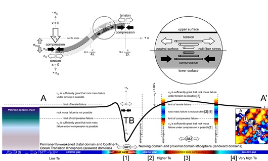 530x318 fig3