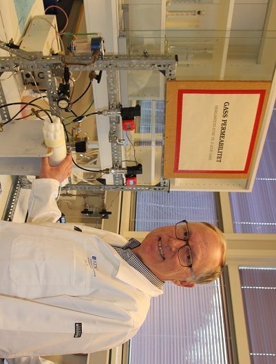 530x401 Torsæter