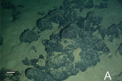 250x166 Asfalt