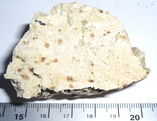 530x409 Sediment