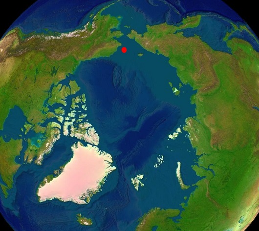 530x473 Arctica