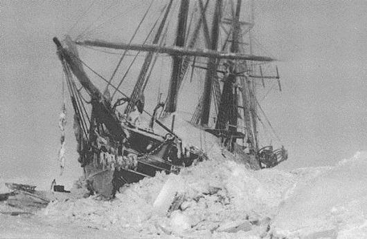 530x346 polarprogram