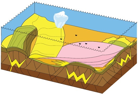 530x363 sandkropper
