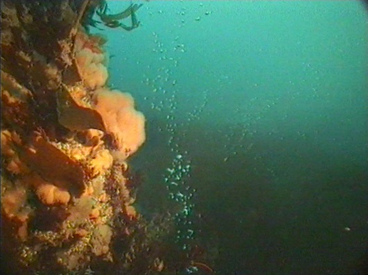 530x397 1994 ferskvannskilde bobler vannsøylen