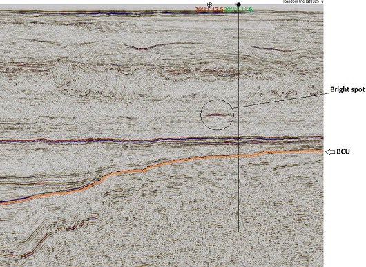 530x386 fig3